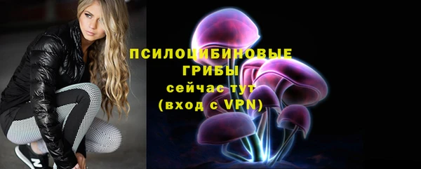 эйфоретик Баксан