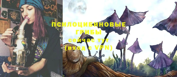 эйфоретик Баксан