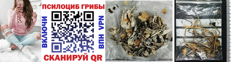 купить закладку  Нижняя Тура  Псилоцибиновые грибы Psilocybine cubensis 